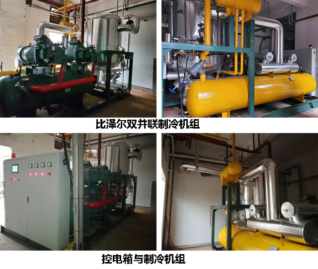 速凍冷庫制冷機組與控制系統
