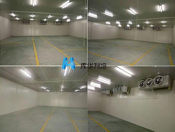 新安實(shí)業(yè)果蔬保鮮冷庫(kù)建造工程