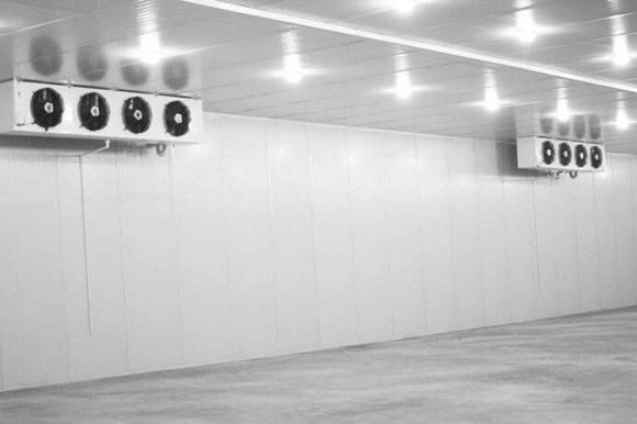 葡萄冷庫儲存保鮮的溫度是多少比較好?