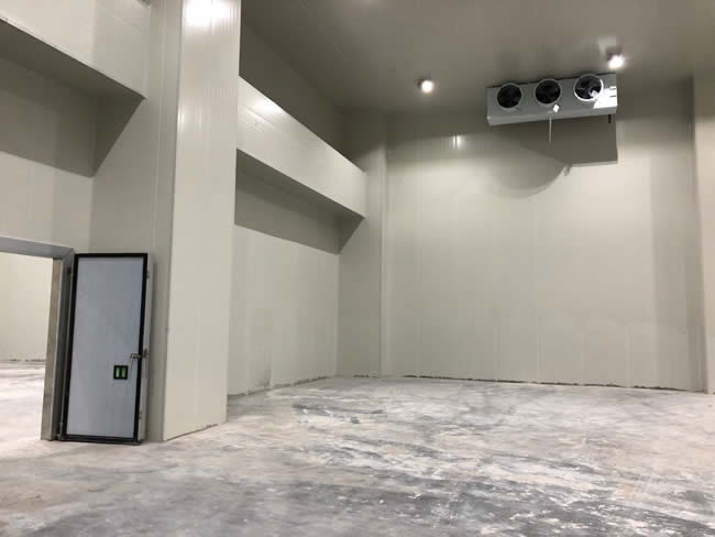 建造一個(gè)生鮮冷庫預(yù)算需要多少錢?