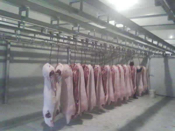 1000噸肉類低溫冷凍庫建造成本需要多少錢?