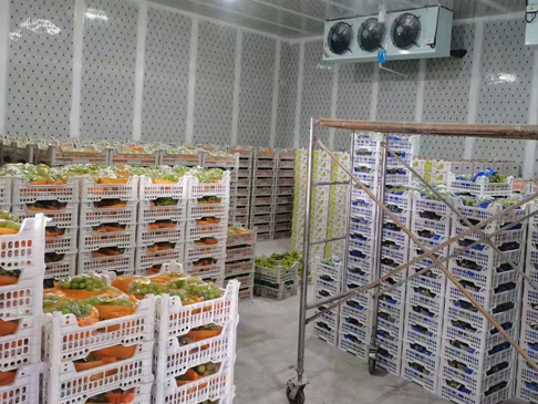 冷庫建造 1000平米保鮮冷庫造價怎么計算