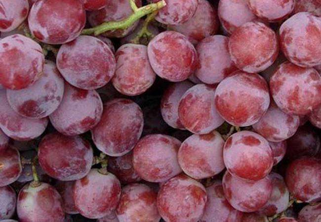 冷鏈物流為什么要建造冷庫(kù)