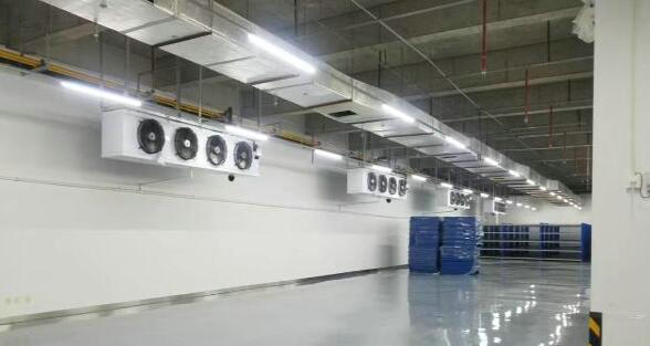 建造500平方冷藏庫造價(jià)需要多少錢