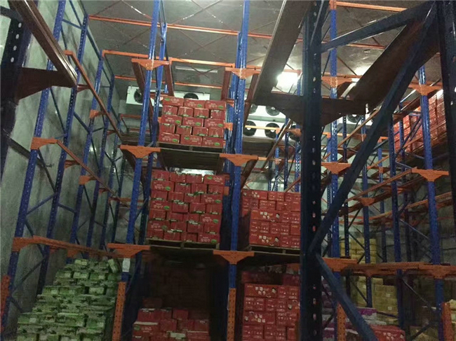 常見果蔬保鮮冷庫溫度要求設置多少度