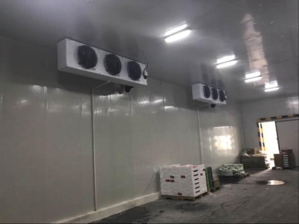 溫州低溫冷庫造價多少錢一平方?