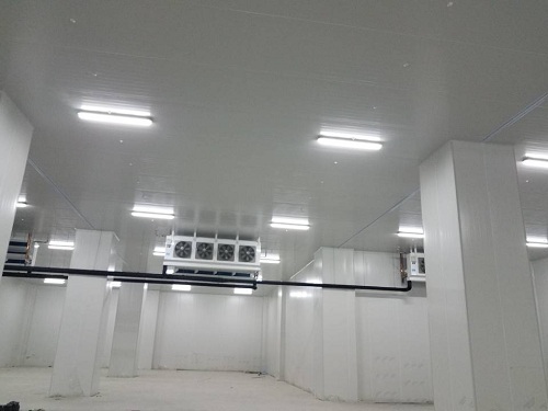 冷庫設計規劃的重要性分析